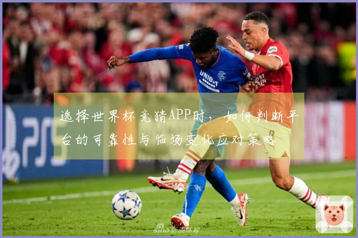 选择世界杯竞猜APP时，如何判断平台的可靠性与临场变化应对策略
