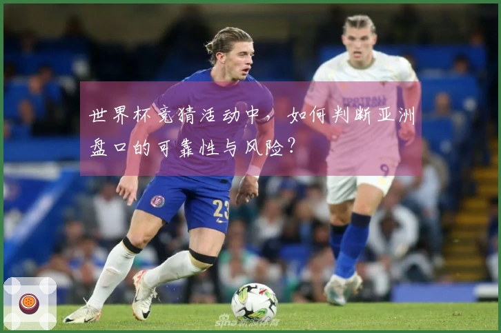 世界杯竞猜活动中，如何判断亚洲盘口的可靠性与风险？