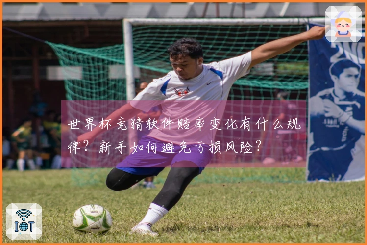 世界杯竞猜软件赔率变化有什么规律？新手如何避免亏损风险？