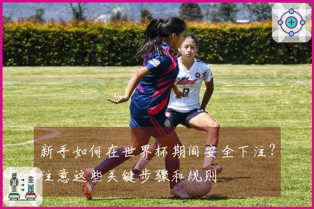 新手如何在世界杯期间安全下注?注意这些关键步骤和规则