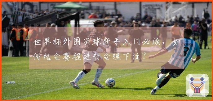 世界杯外围买球新手入门必读，如何结合赛程进行合理下注？