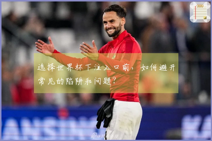 选择世界杯下注入口前，如何避开常见的陷阱和问题？