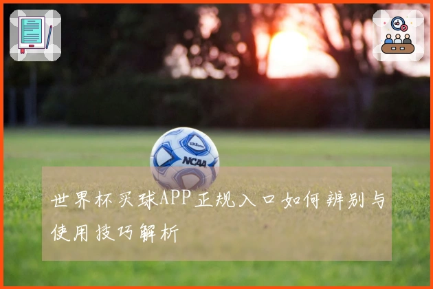 世界杯买球APP正规入口如何辨别与使用技巧解析