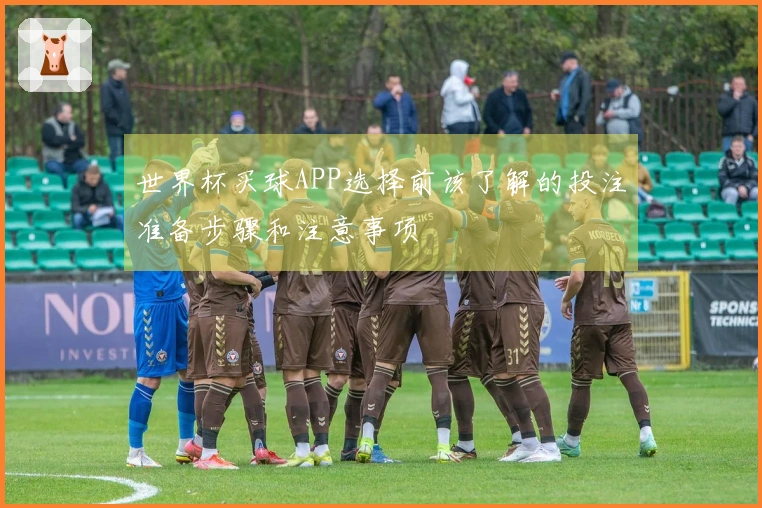 世界杯买球APP选择前该了解的投注准备步骤和注意事项