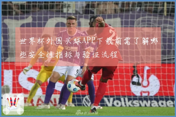 世界杯外围买球APP下载前需了解哪些安全性指标与验证流程