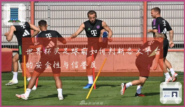 世界杯买足球前如何判断各大平台的安全性与信誉度