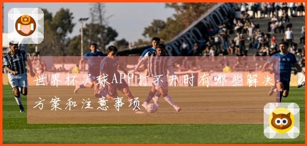 世界杯买球APP打不开时有哪些解决方案和注意事项