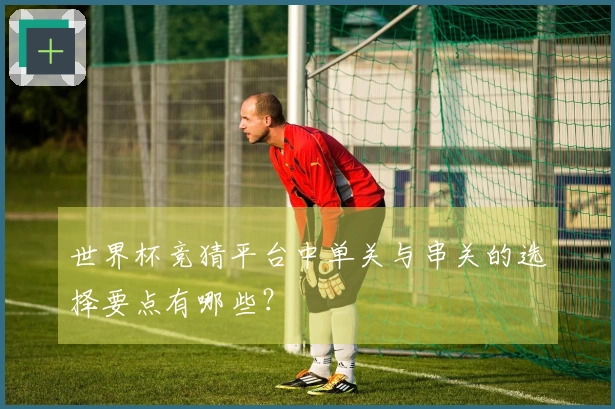 世界杯竞猜平台中单关与串关的选择要点有哪些？