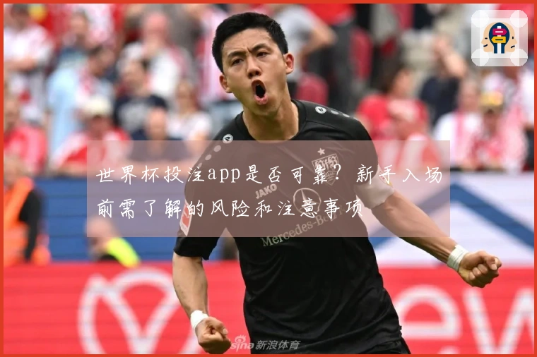 世界杯投注app是否可靠？新手入场前需了解的风险和注意事项