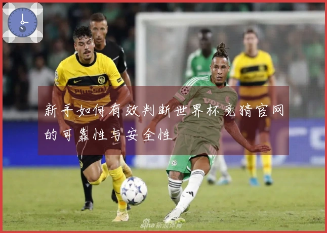 新手如何有效判断世界杯竞猜官网的可靠性与安全性