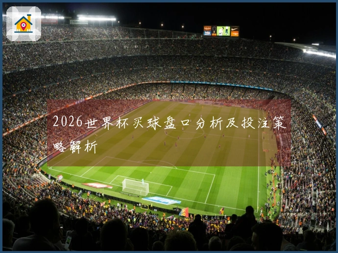 2026世界杯买球盘口分析及投注策略解析