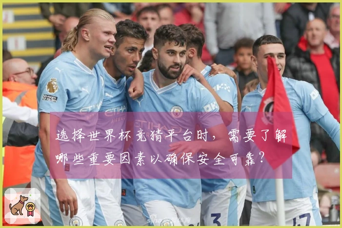 选择世界杯竞猜平台时，需要了解哪些重要因素以确保安全可靠？