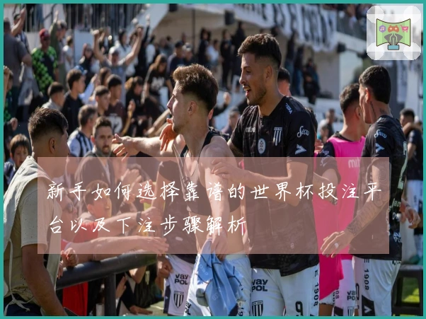 新手如何选择靠谱的世界杯投注平台以及下注步骤解析