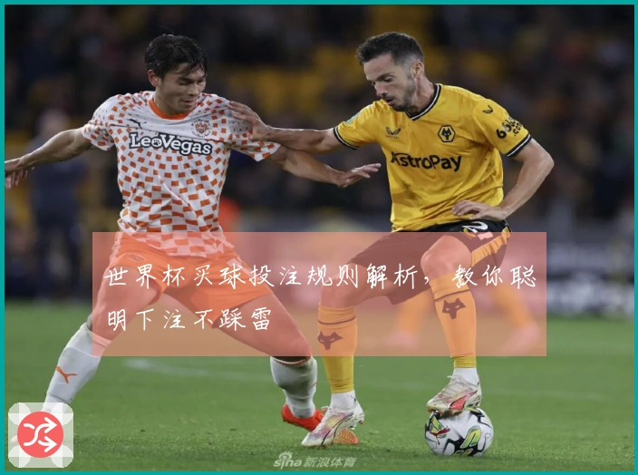 世界杯买球投注规则解析，教你聪明下注不踩雷