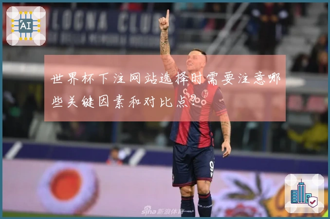 世界杯下注网站选择时需要注意哪些关键因素和对比点？
