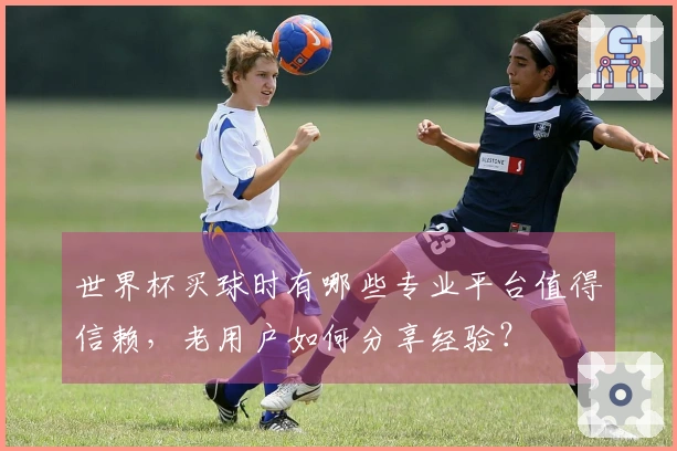世界杯买球时有哪些专业平台值得信赖,老用户如何分享经验?