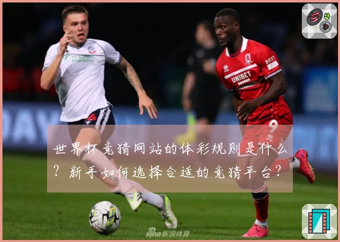 世界杯竞猜网站的体彩规则是什么？新手如何选择合适的竞猜平台？