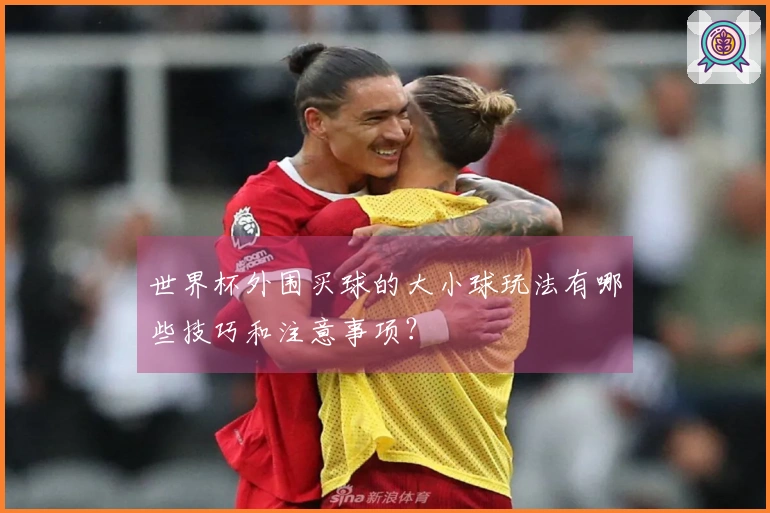 世界杯外围买球的大小球玩法有哪些技巧和注意事项？