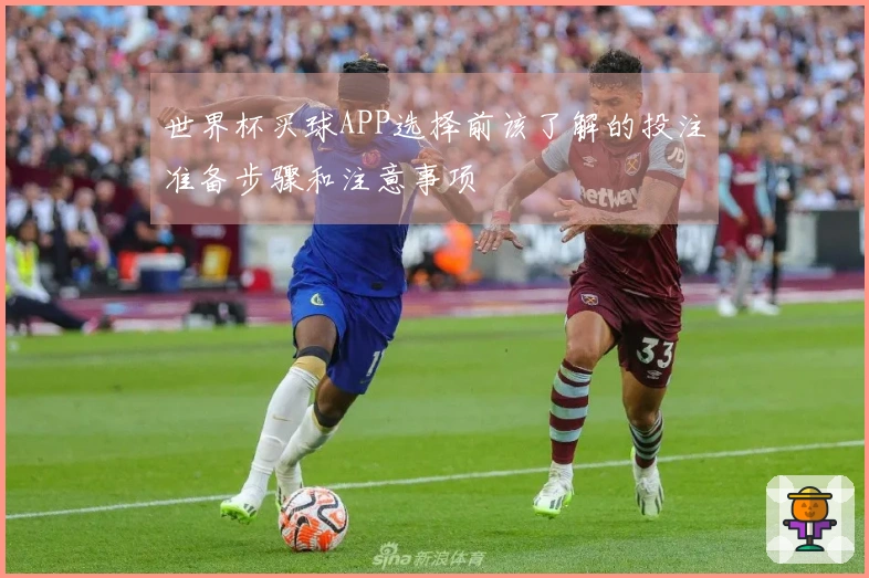 世界杯买球APP选择前该了解的投注准备步骤和注意事项