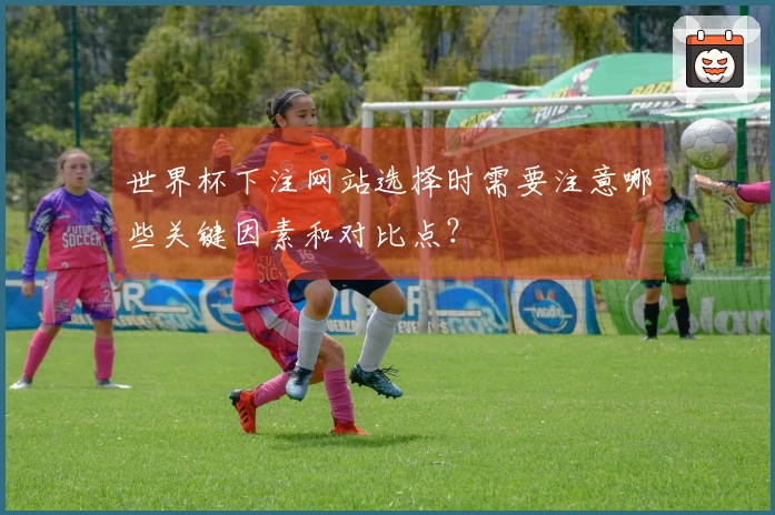 世界杯下注网站选择时需要注意哪些关键因素和对比点？