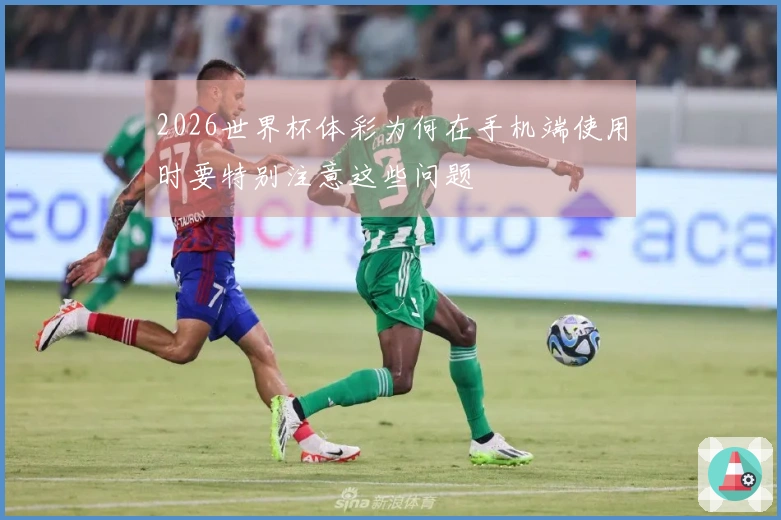2026世界杯体彩为何在手机端使用时要特别注意这些问题