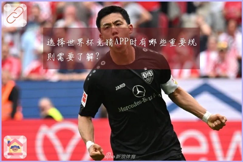 选择世界杯竞猜APP时有哪些重要规则需要了解？