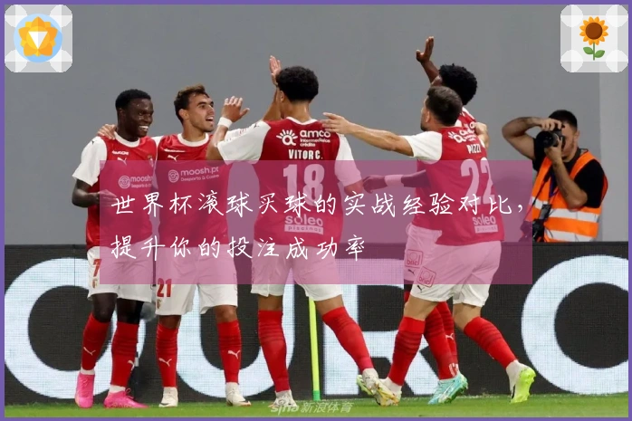 世界杯滚球买球的实战经验对比，提升你的投注成功率