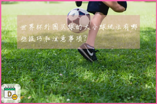 世界杯外围买球的大小球玩法有哪些技巧和注意事项？
