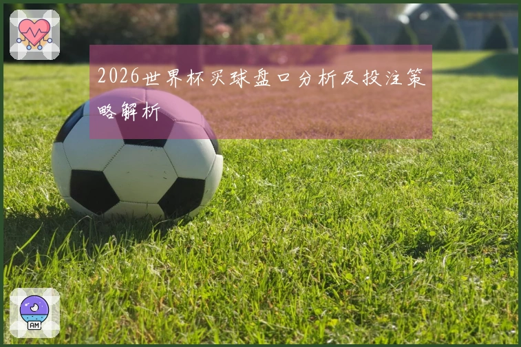 2026世界杯买球盘口分析及投注策略解析