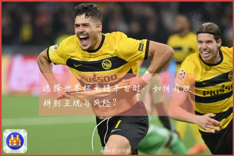 选择世界杯竞猜平台时，如何有效辨别正规与风险？