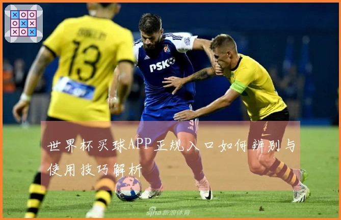 世界杯买球APP正规入口如何辨别与使用技巧解析